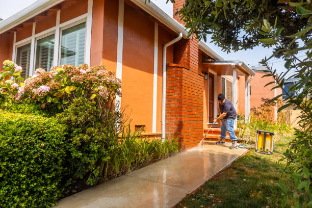 Best Deck Cleaning Services  in Alexandria, MN