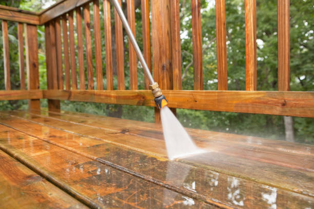 Best Roof Pressure Washing  in Alexandria, MN
