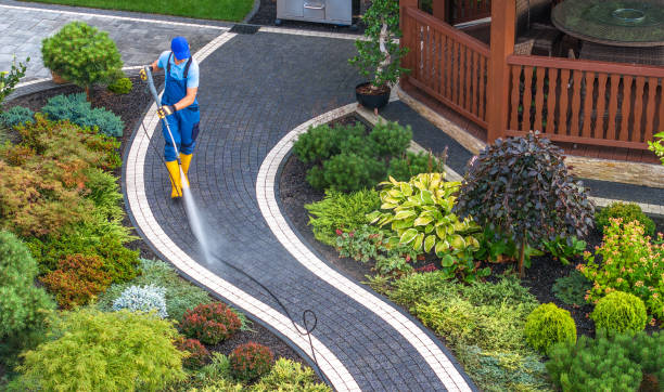 Best Affordable Pressure Washing  in Alexandria, MN
