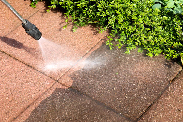 Best Exterior Home Cleaning  in Alexandria, MN